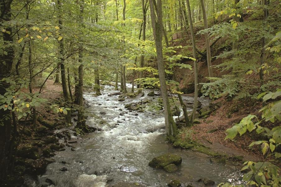 Fewo Hof Elbbachtal Вестербург Екстер'єр фото