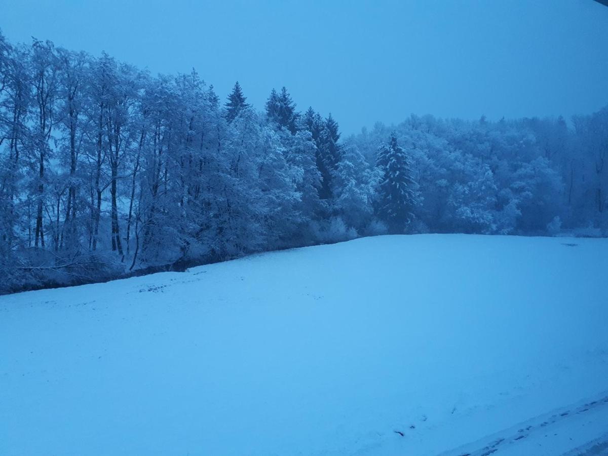 Fewo Hof Elbbachtal Вестербург Екстер'єр фото